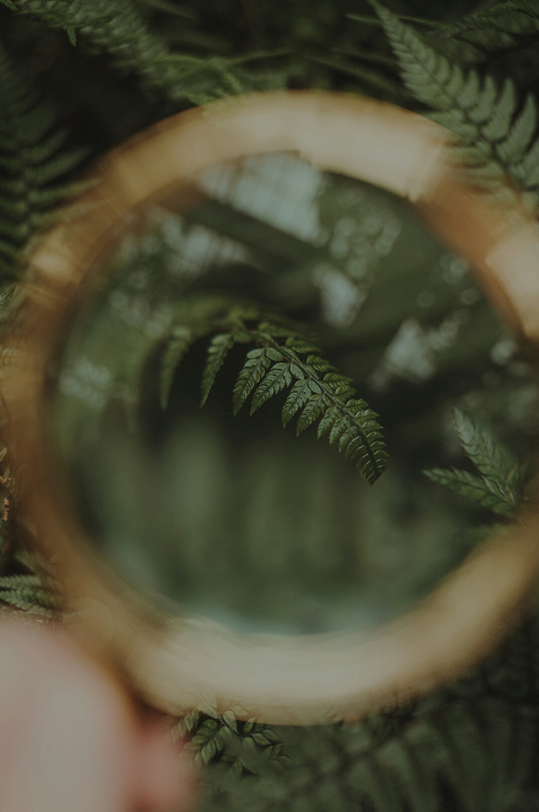 Magnifying glass resting on an old document